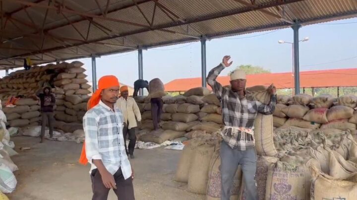 जिले के उपार्जन केंद्रों में धान खरीदी सुचारू रूप से जारी 2628 किसानों से खरीदी गई  167246 क्विंटल  धान