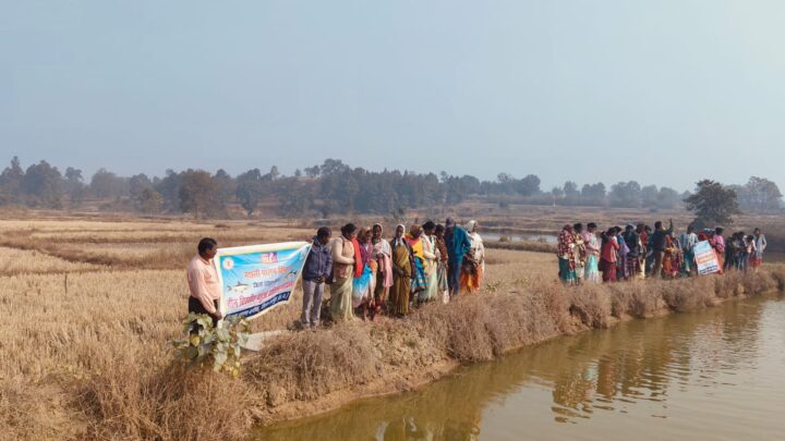 मोनोकल्चर को बढ़ावा देने और आधुनिक तकनीकी से मछली पालन हेतु मत्स्य कृषकों को दिया गया मछुआ प्रशिक्षण,अध्ययन भ्रमण कराकर तिलापिया एवं पंगेसियस मछली पालन का कराया गया अवलोकन