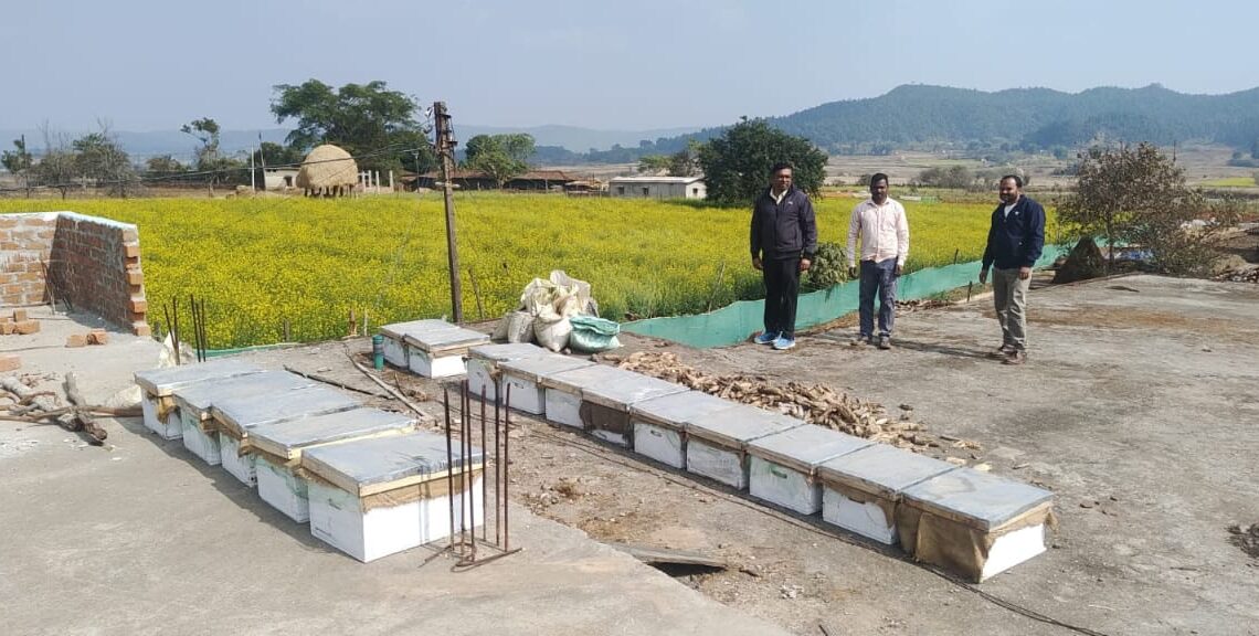 राष्ट्रीय बागवानी मिशन एवं राज्य योजना अंतर्गत मधुमक्खी पालन से लाभान्वित हो रहे किसान