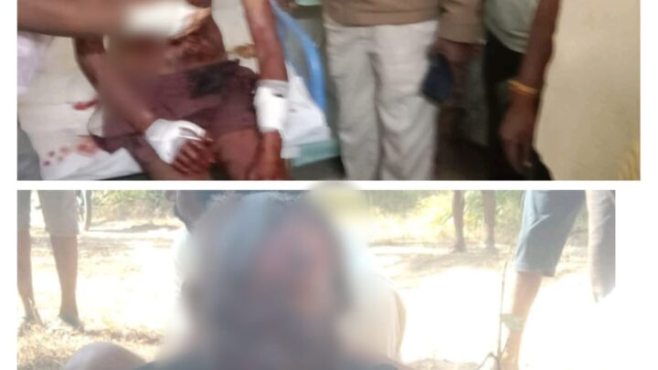 राजपुर वन परिक्षेत्र में जंगली भालू का हमला, दो ग्रामीण गंभीर रूप से घायल