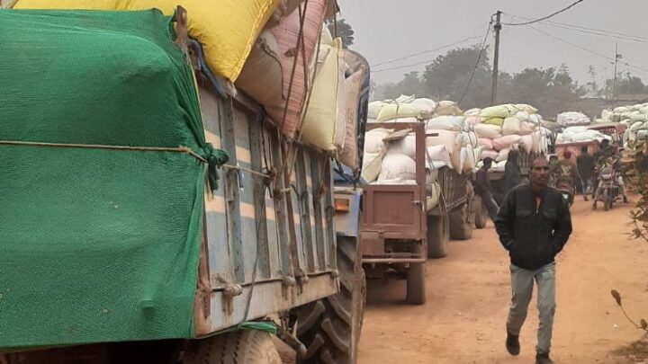 बलरामपुर धान उपार्जन केंद्र में किसानों की  लगी लम्बी कतार।