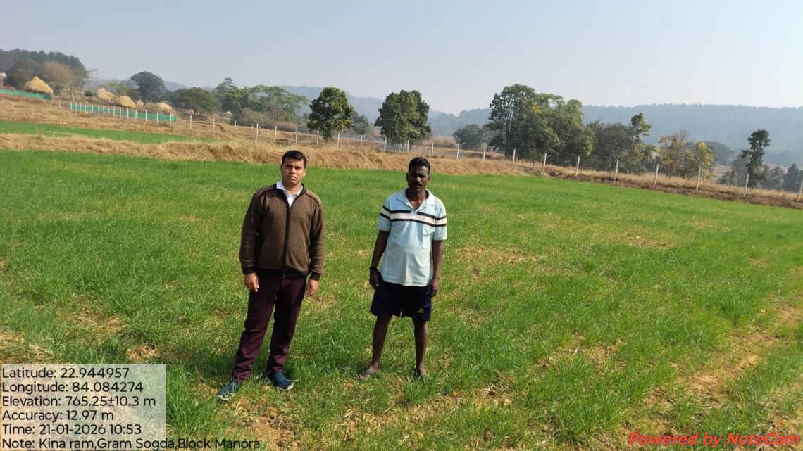 गेहूं की पैदावार कम लागत में ज्यादा मुनाफा