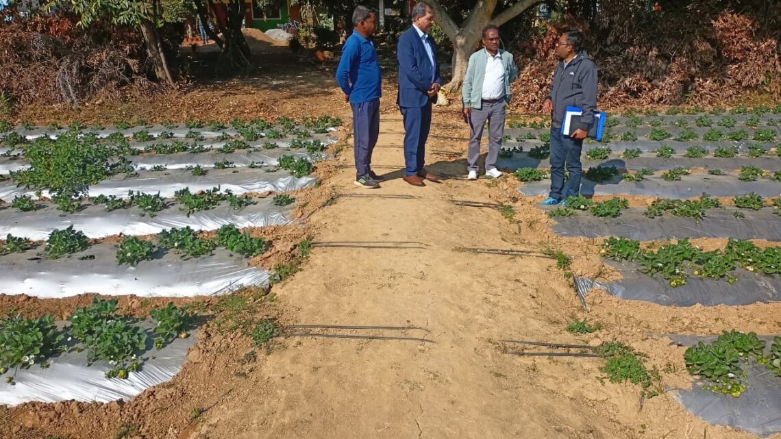 प्रधानमंत्री धन-धान्य कृषि विकास योजना के केंद्रीय नोडल अधिकारी बी. के. प्रुस्ती  ने किया जशपुर का भ्रमण