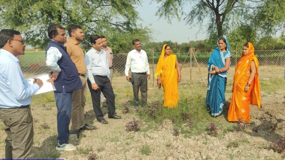 WDC-PMKSY 2.0 परियोजना का केंद्रीय दल द्वारा अवलोकन,साजा ब्लॉक में जल संरक्षण एवं आजीविका गतिविधियों की सराहना