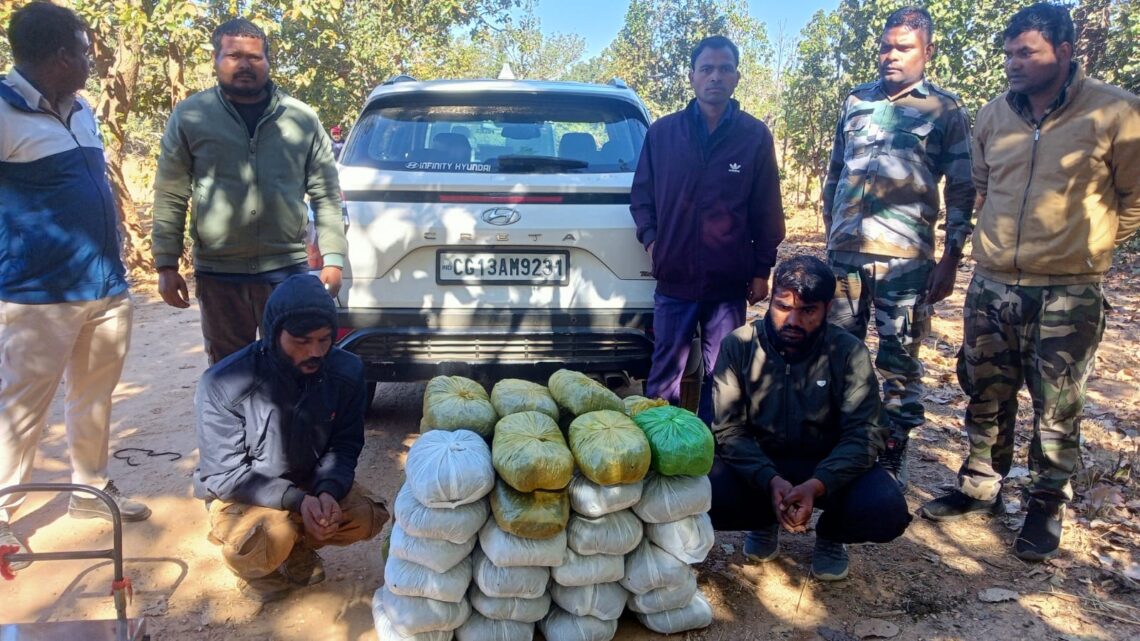 नशे के सौदागरों के खिलाफ जशपुर पुलिस की बड़ी कार्यवाही,52 किलो से अधिक अवैध मादक प्रदार्थ गांजा के साथ दो आरोपी गिरफ्तार