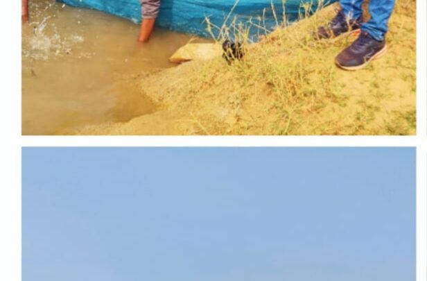 मछली पालन विभाग द्वारा विभिन्न एनीकट्स में मत्स्य बीज का संचयन मत्स्य बीज संचयन से स्वरोजगार और पोषण को मिलेगा बढ़ावा