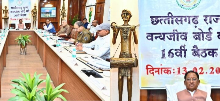 वन्यजीवों के प्राकृतिक आवास की सुरक्षा और सह-अस्तित्व के सिद्धांतों के अनुरूप हो सभी गतिविधियों का संचालन : मुख्यमंत्री साय