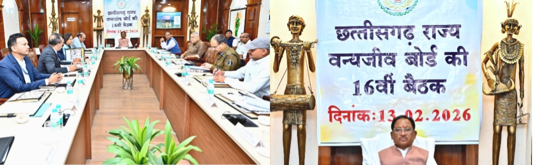 वन्यजीवों के प्राकृतिक आवास की सुरक्षा और सह-अस्तित्व के सिद्धांतों के अनुरूप हो सभी गतिविधियों का संचालन : मुख्यमंत्री साय