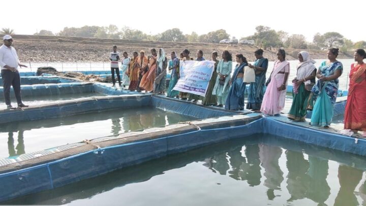 आधुनिक तकनीक से मत्स्य पालन की ओर बढ़े कदम फरसाबहार की बिहान समूह सदस्याओं को ‘लखपति दीदी’ बनाने एक्सपोजर विजिट आयोजित