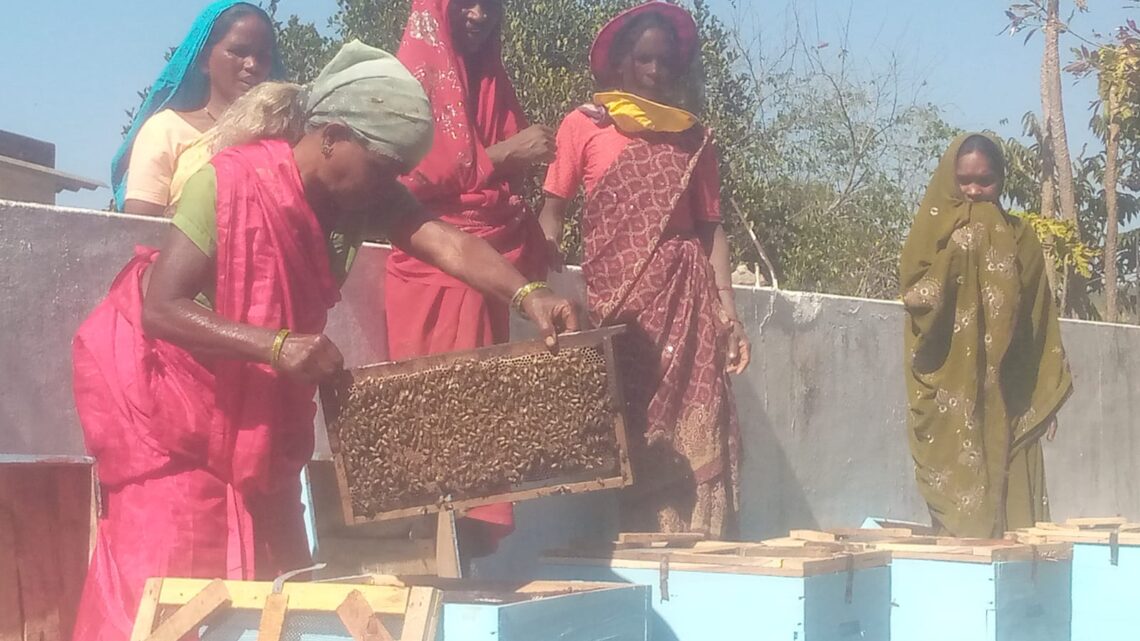 स्व सहायता समूह मधुमक्खी पालन से  कर रहे अच्छी आमदनी