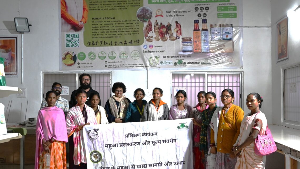 महुआ बना आजीविका का मॉडल सुपर फूड के रूप में बनाई पहचान