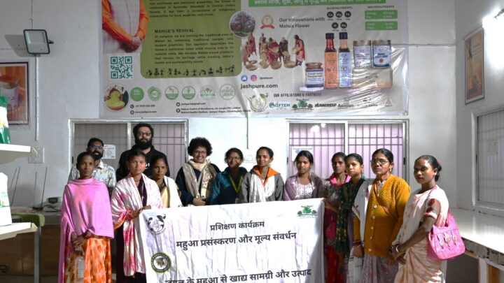 महुआ बना आजीविका का मॉडल सुपर फूड के रूप में बनाई पहचान