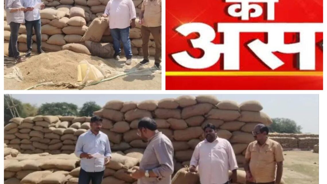 खबर का असर: भलेरा धान खरीदी केंद्र में पानी डालने के मामले में कलेक्टर का एक्शन, तीन सदस्यीय जांच टीम गठित