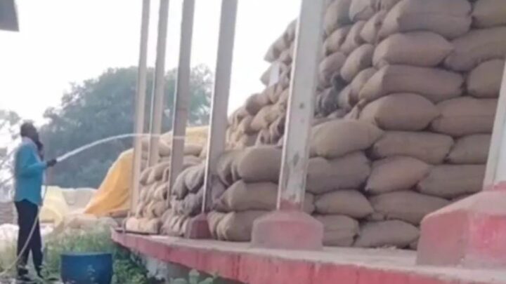 वीडियो वायरल ; धान खरीदी केंद्र में घोटाले का खेल! बोरियों में पाइप से डाला जा रहा था पानी, ग्रामीणों ने रंगे हाथ पकड़ा